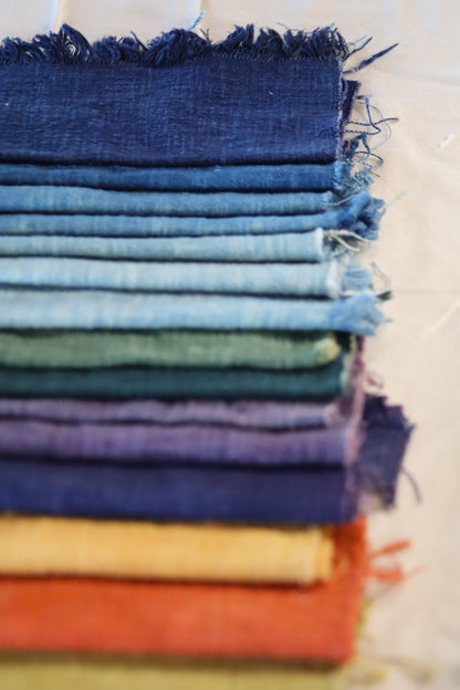 Atelier plantes tinctoriales