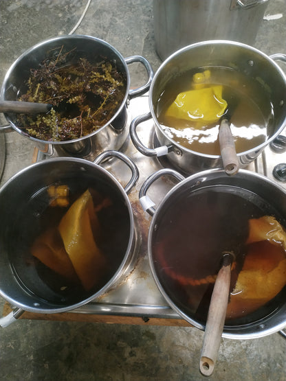 Atelier plantes tinctoriales