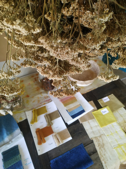 Atelier plantes tinctoriales