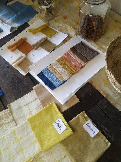 Atelier plantes tinctoriales